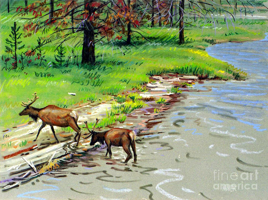 Elks Painting - Elks Crossing by Donald Maier