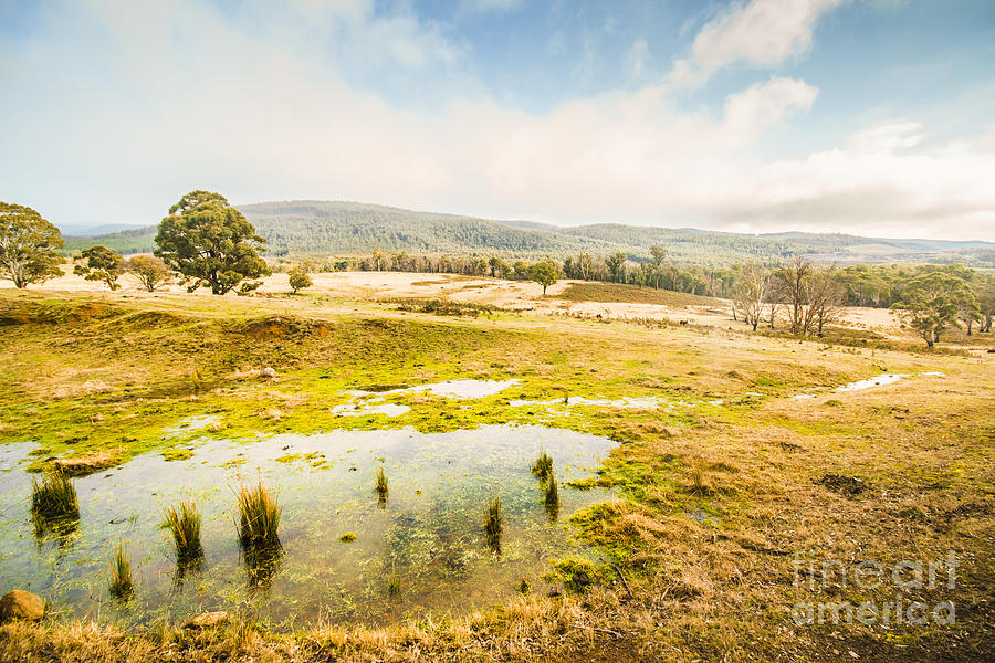 Ellendale Tasmania Background Photograph by Jorgo Photography