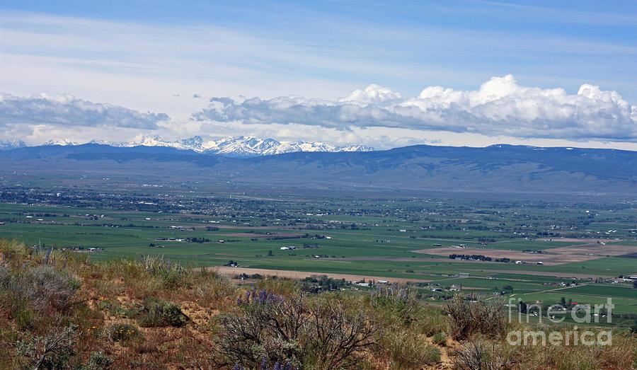 Ellensburg Valley with Sagebrush and Lupine Photograph by Carol Groenen