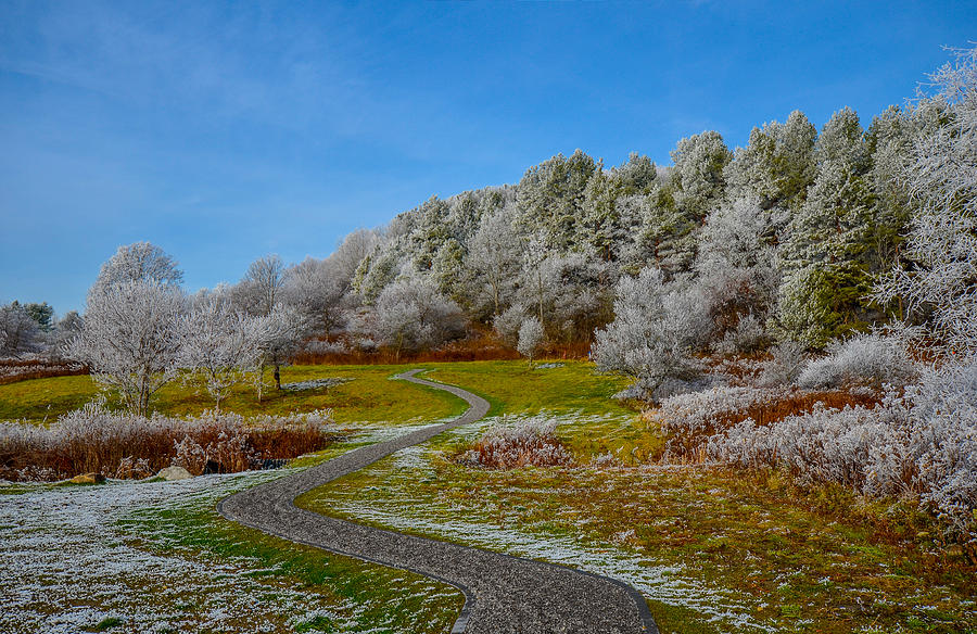 Ellicottville Stroll Photograph by David Galenski Pixels