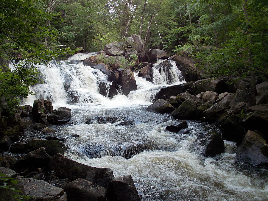 Ellis Falls of Maine Photograph by Catherine Gagne