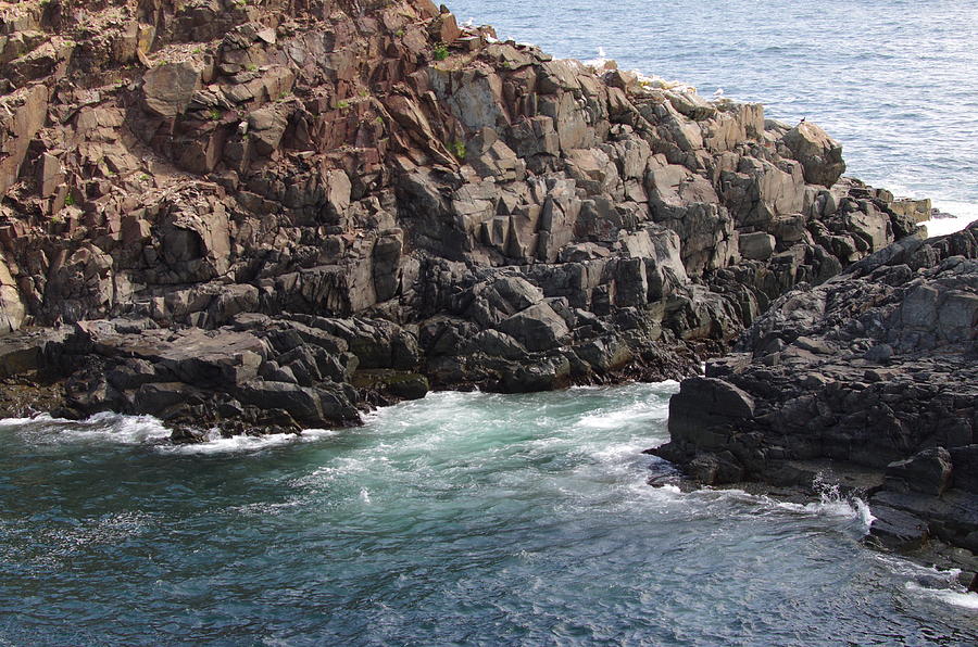 Elliston Newfoundland Coastline 7 Photograph by Bob Corson | Fine Art ...