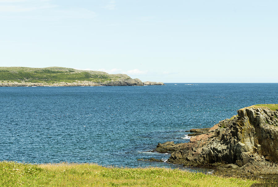 Elliston Newfoundland Coastline Photograph by Bob Corson - Fine Art America