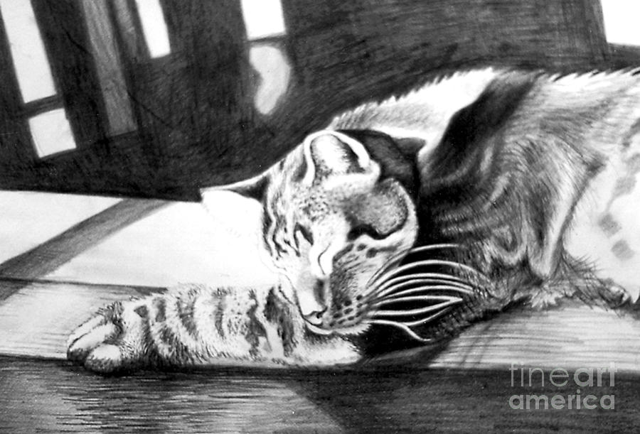 Elmer The Cat Drawing by Genevieve Esson
