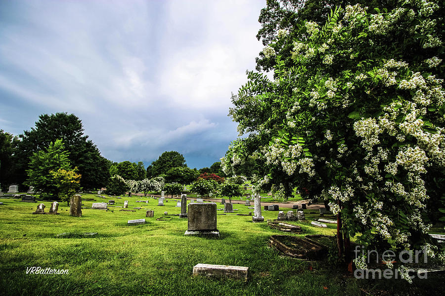 Elmwood Cemetery Memphis Photograph by Veronica Batterson