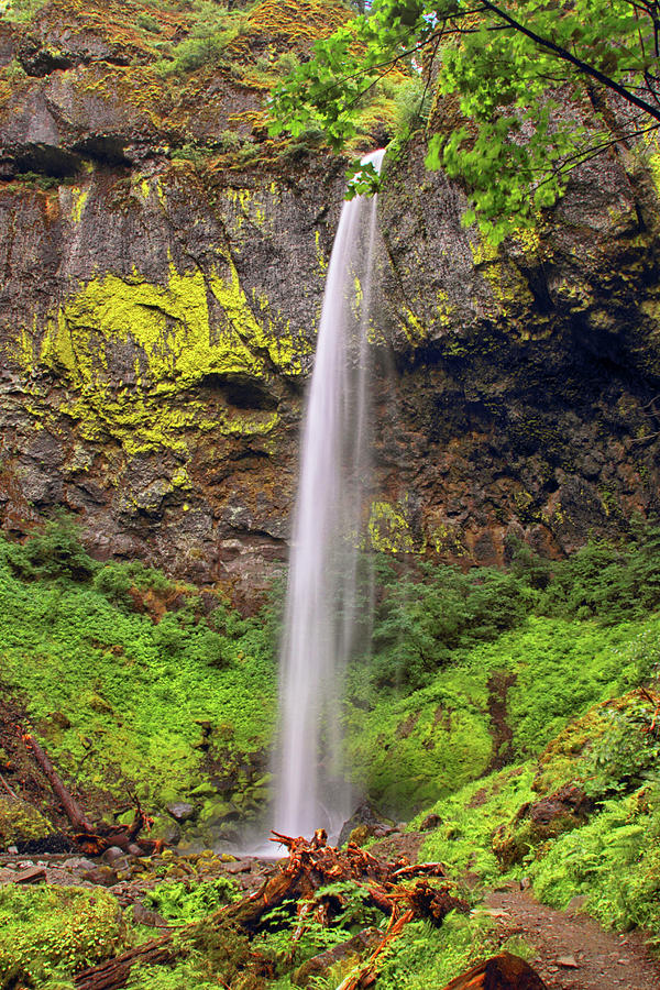 Elowah Falls Photograph by Marshall Powell Photography | Fine Art America