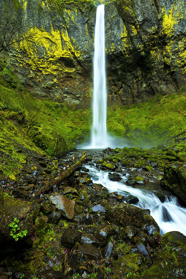 Waterfall Photograph - Elowahs Elegance by Chad Dutson