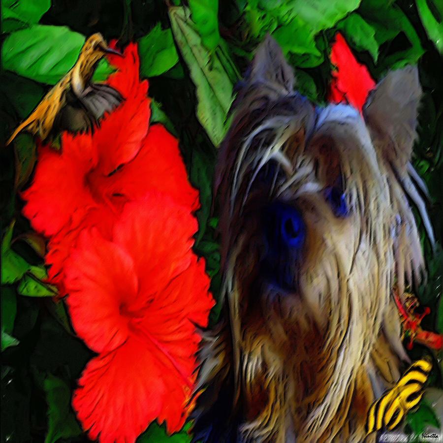 Dog Digital Art - Elton by Andrea N Hernandez