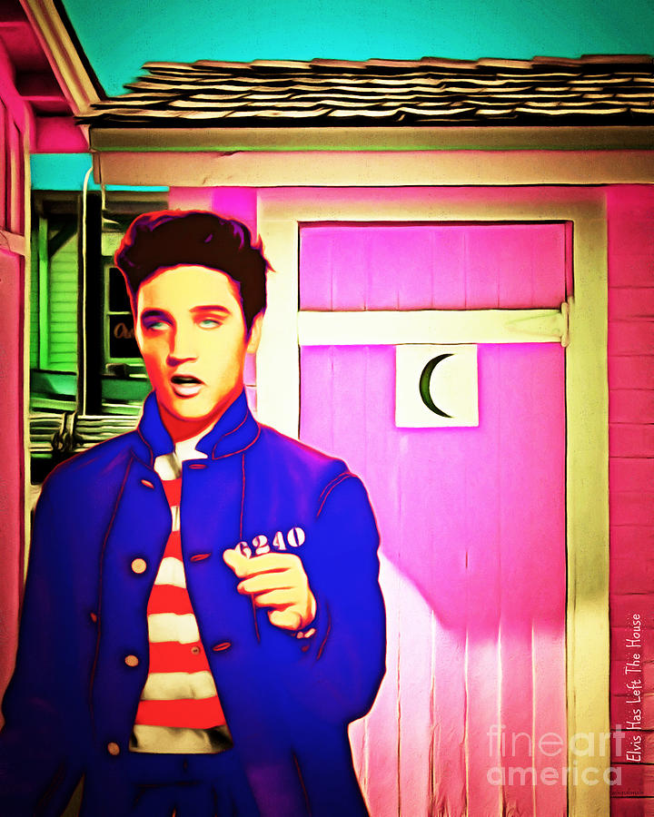 Elvis Has Left The House 20151225 Photograph by Wingsdomain Art and Photography