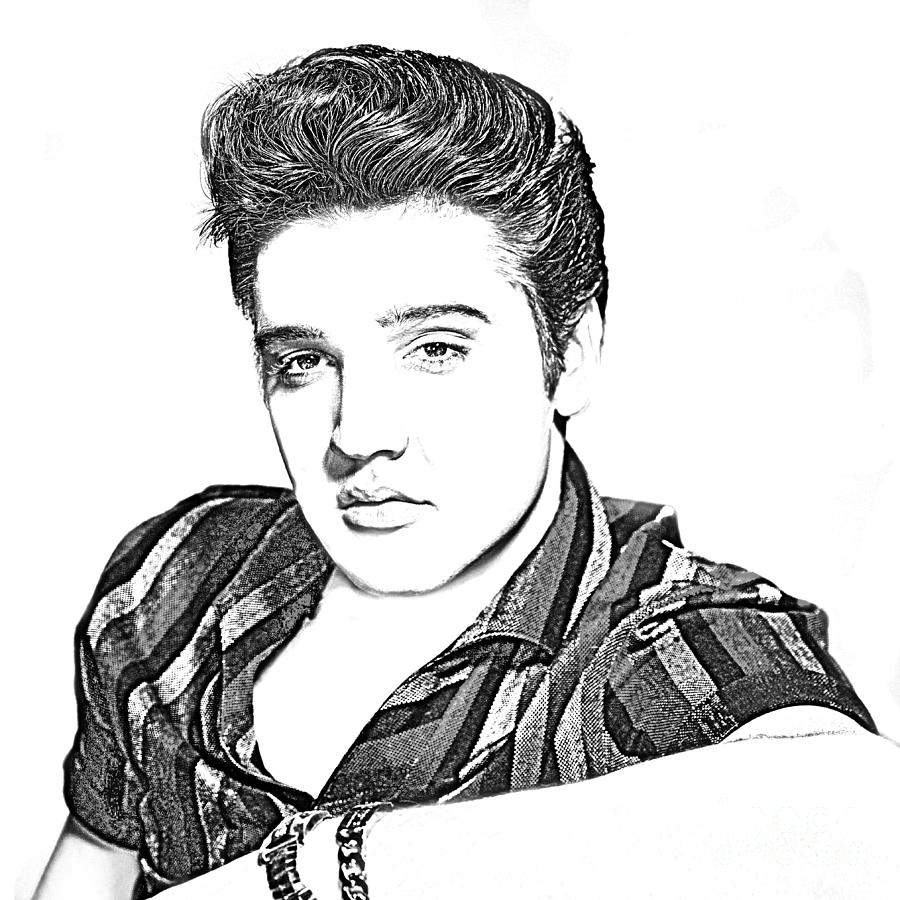 Elvis Presley In Pen And Ink Drawing by Doc Braham