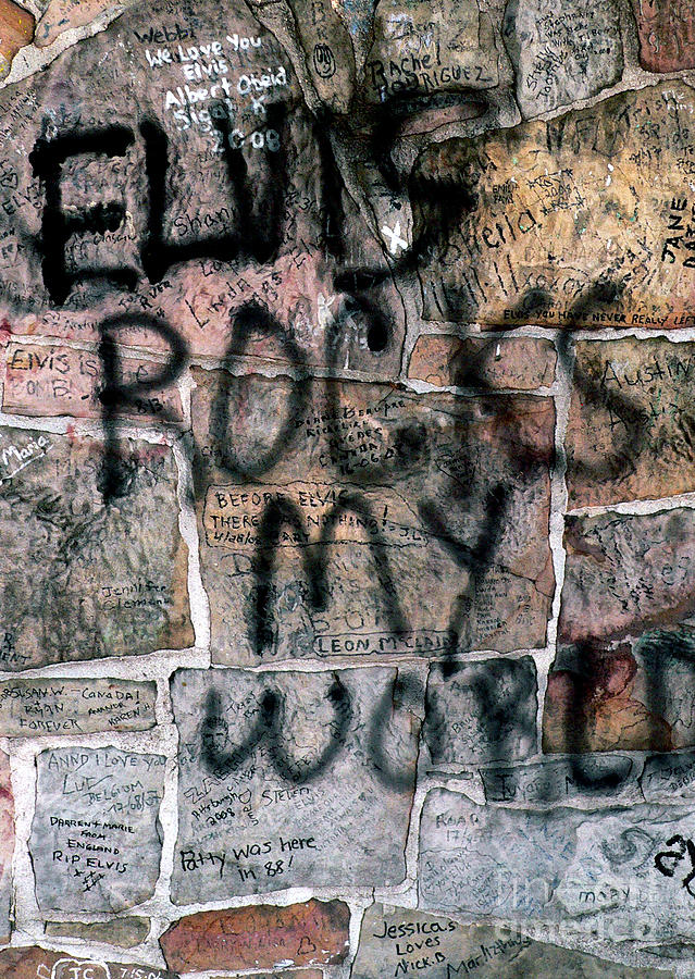 Elvis Rocks My World Photograph by David Bearden