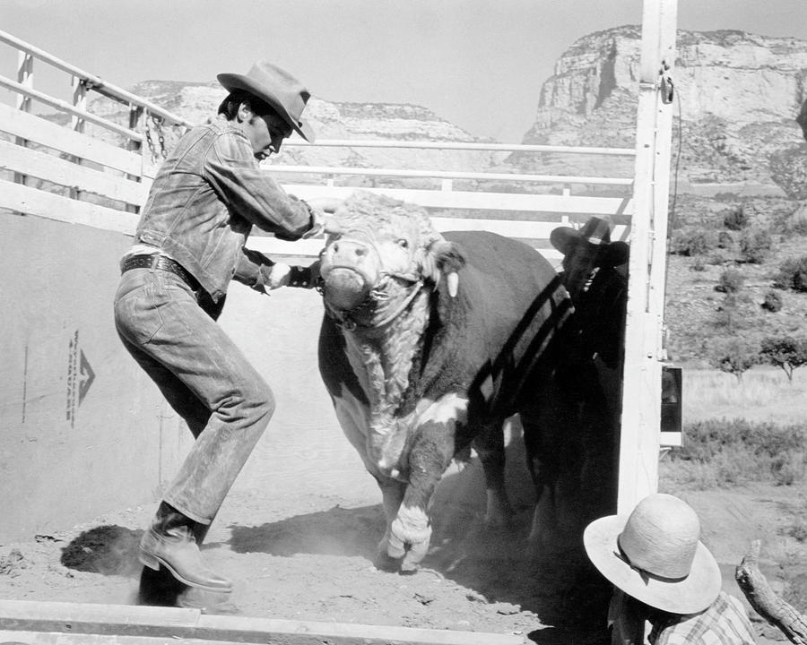 Elvis Photograph - Elvis with Bull by Bob Bradshaw Elvis Photograph - Elvis with Bull by Bob Bradshaw