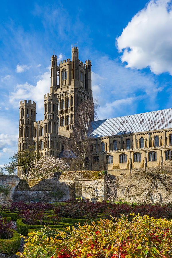 Ely Cathedral and Garden Photograph by James Billings