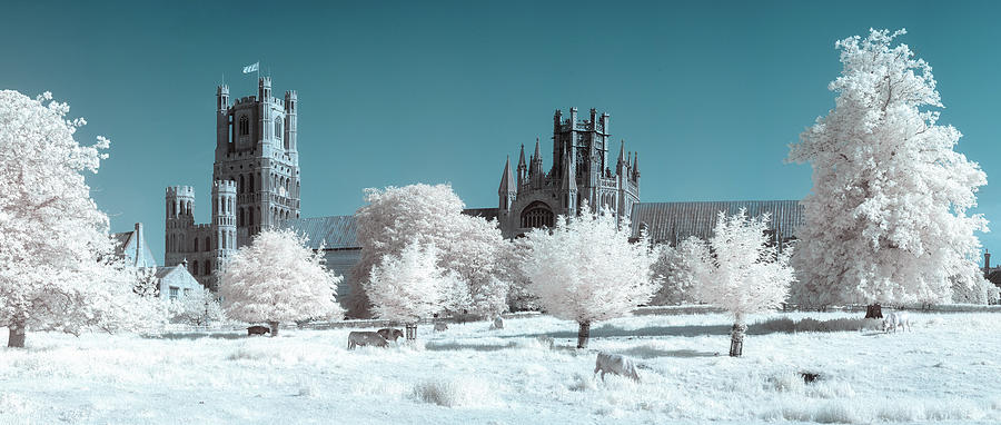Ely cathedral IR Pano Photograph by James Billings