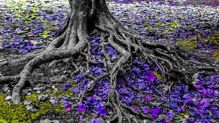Tree Digital Art - Elysian Dreams  by Julia Gatti