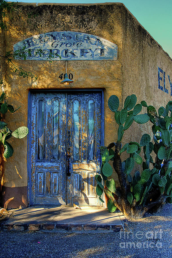 Tucson Photograph - Elysian Grove In The Morning by Lois Bryan