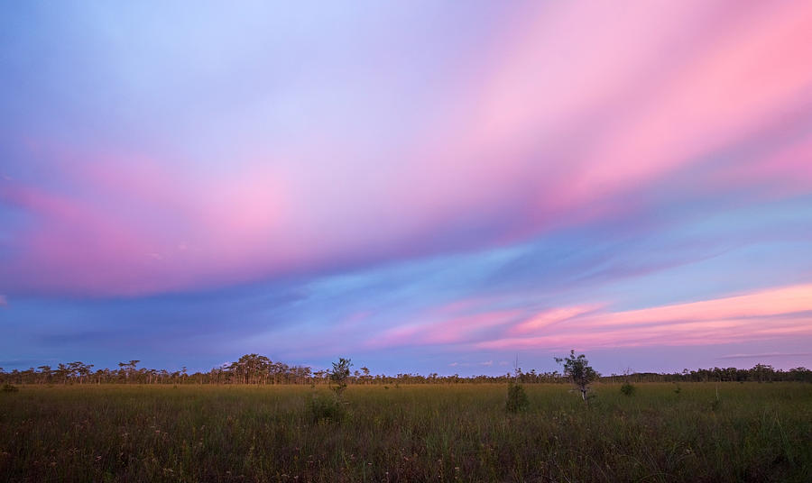 Everglades National Park Photograph - Embers in the Sky by Matt Tilghman
