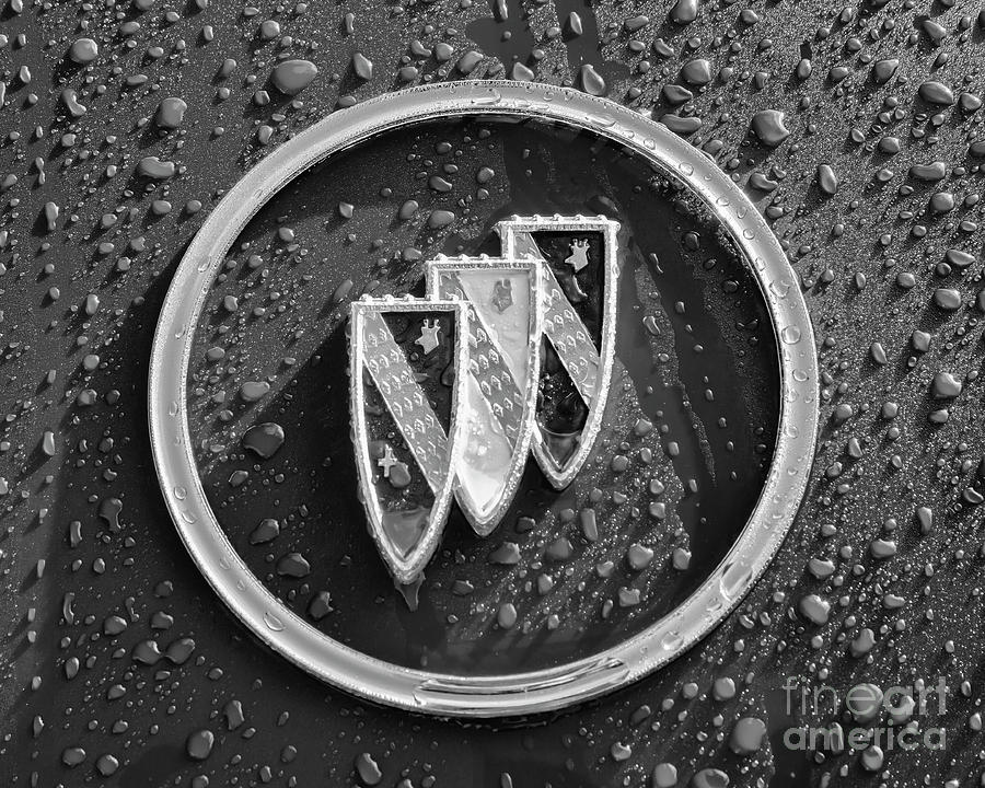 Emblem Mono Photograph by Dennis Hedberg