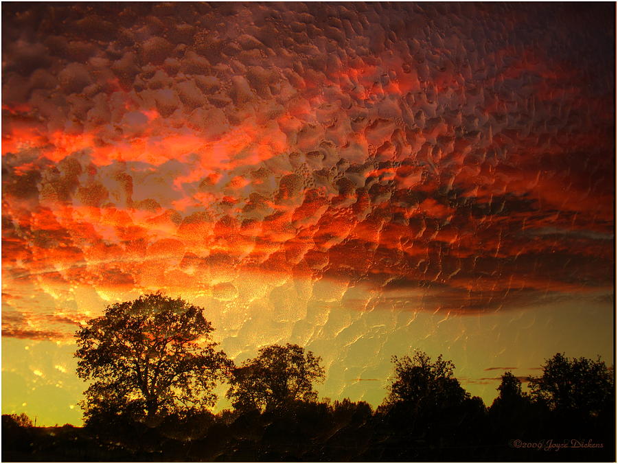 Embossed Sunrise Photograph by Joyce Dickens