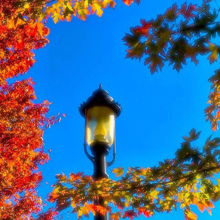 embrace The Light Autumn Skyscape Photograph by Lisa Pearlman