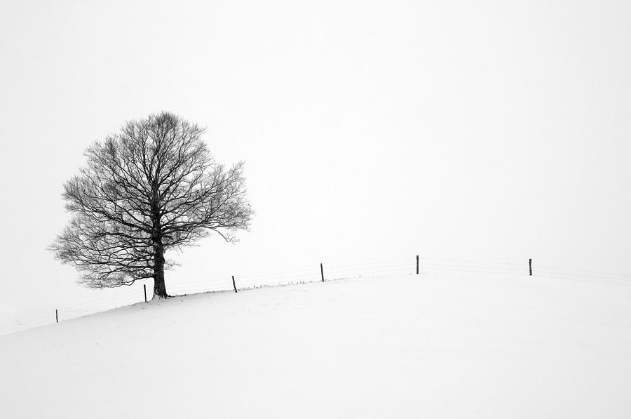 Embracing Winter Photograph by Dick Pratt