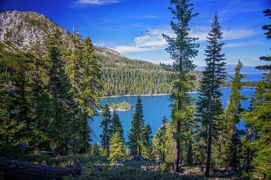 Emerald Bay in Lake Tahoe Photograph by Lynn Bauer