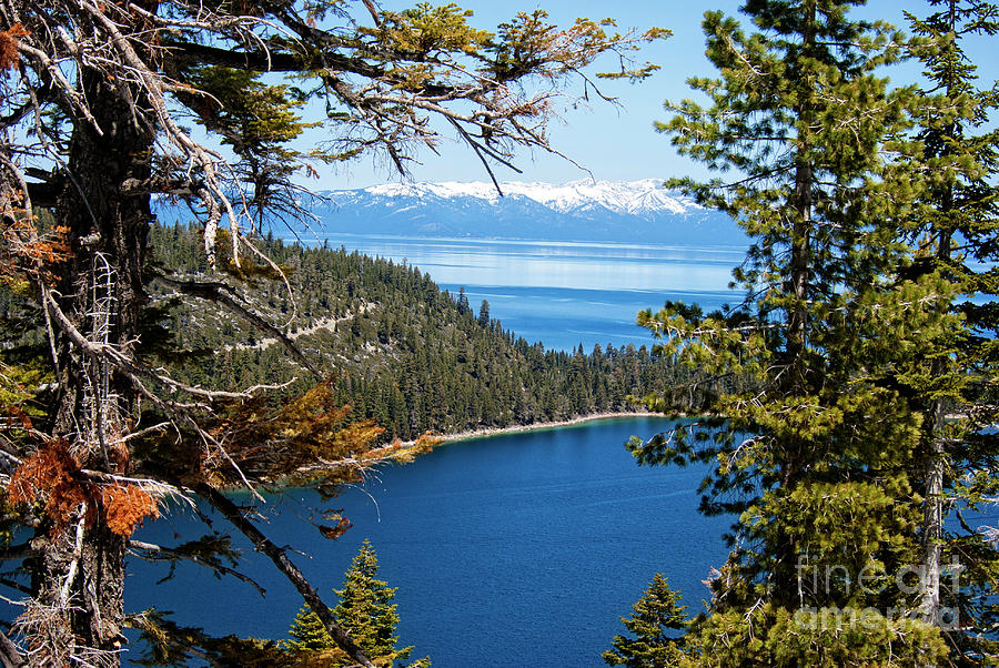 Emerald Bay Lake Tahoe Photograph by Jim And Emily Bush