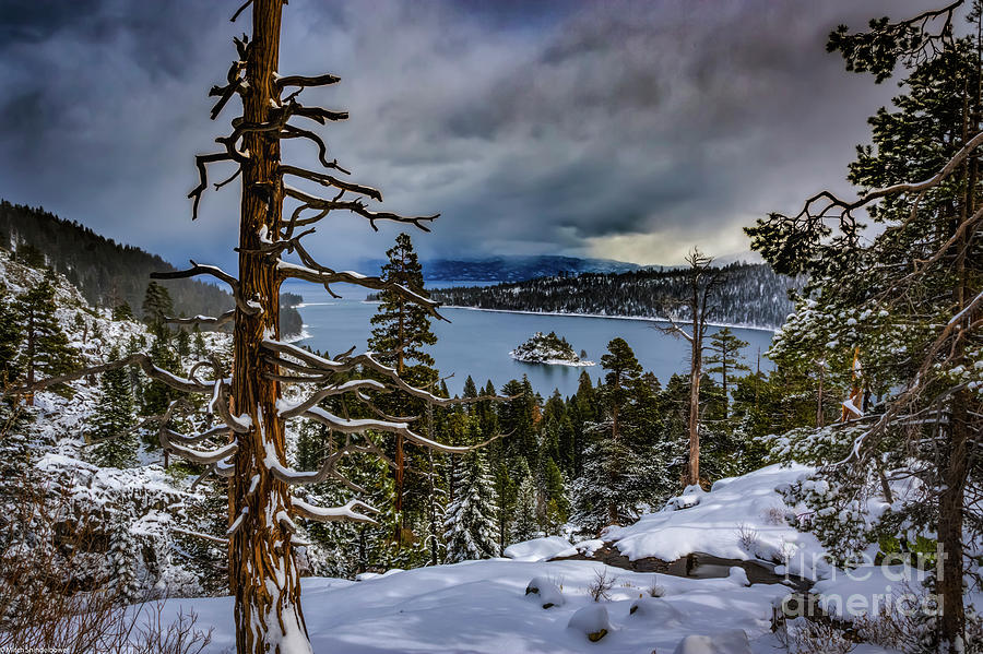 Emerald Bay Snow Photograph by Mitch Shindelbower