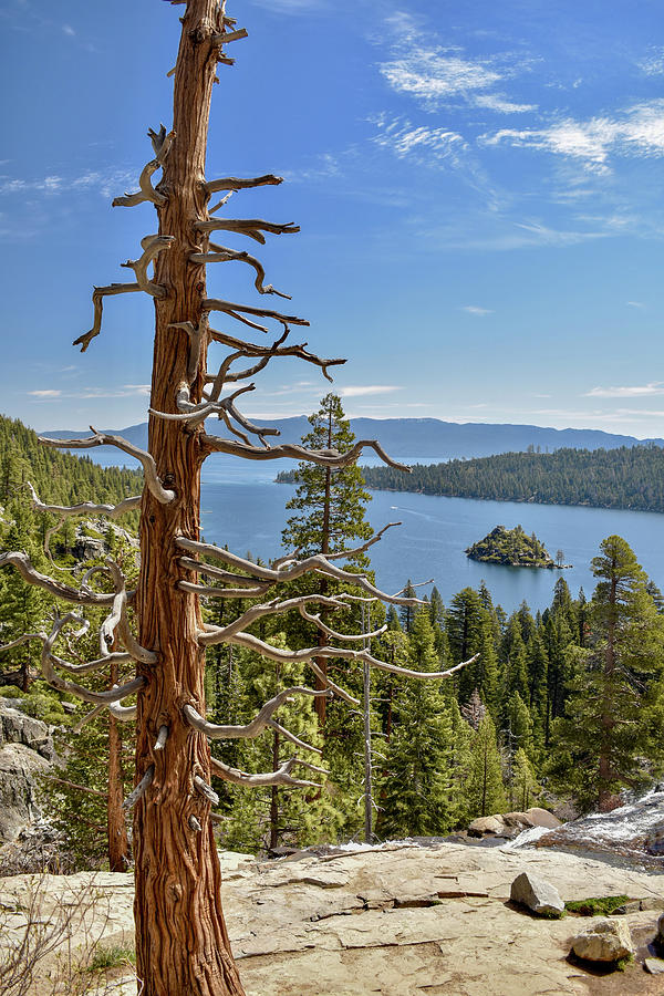 Emerald Bay View Photograph by Robert J Wagner