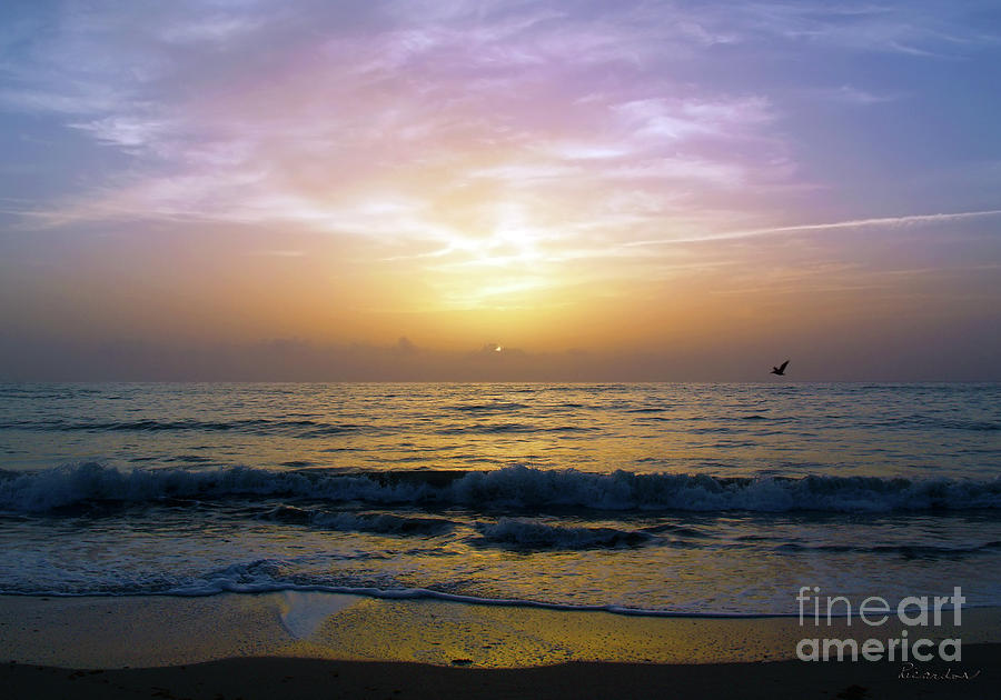 Emerald Coast Florida Tropical Sunset Seascape B3 Photograph by Ricardos Creations