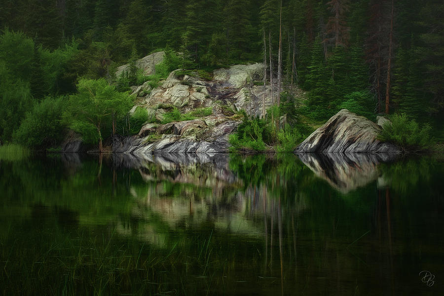 Emerald Forest Photograph by Debra Boucher