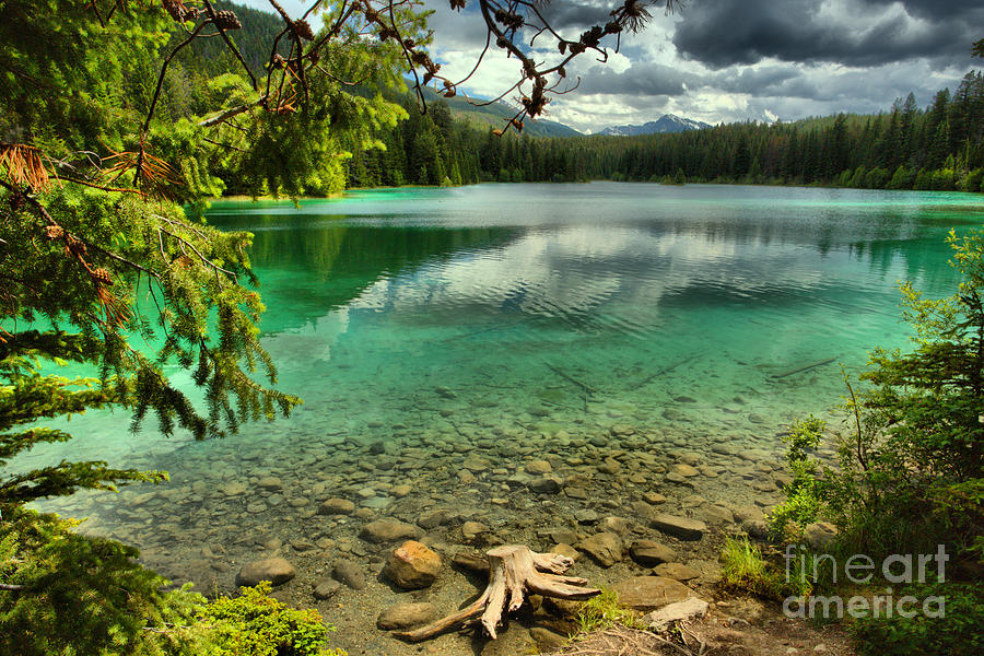 Emerald Green At Jasper National Park Photograph by Adam Jewell