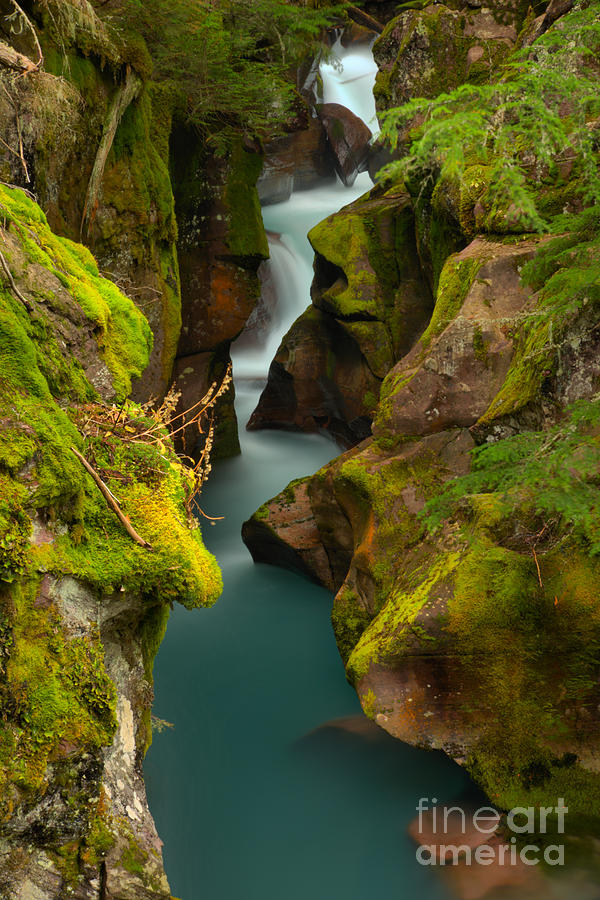 Emerald Green Avalanche Creek Photograph by Adam Jewell