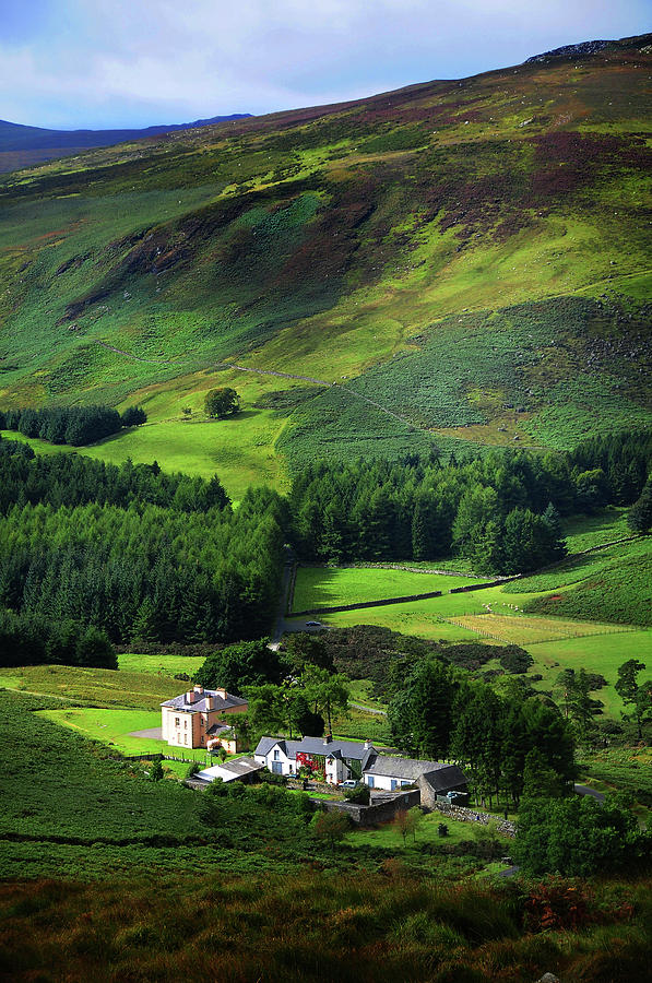 Nature Photograph - Emerald Hills 1. Wicklow. Ireland by Jenny Rainbow