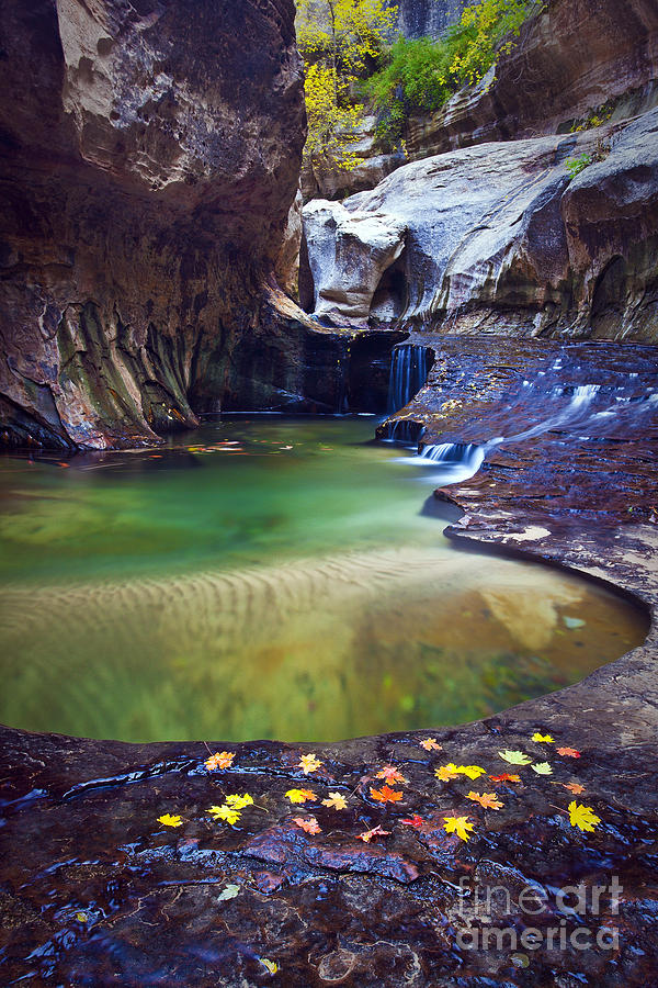 Fall Photograph - Emerald Pool by Greg Clure