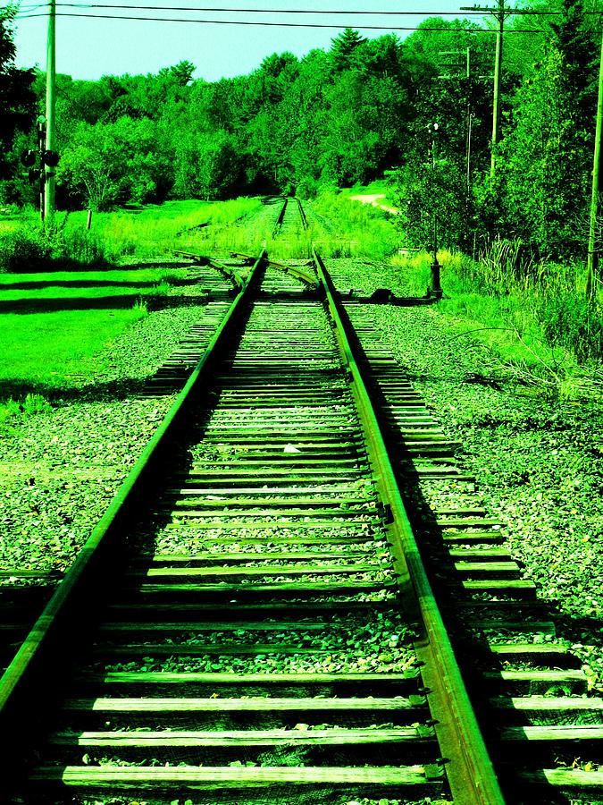 Emerald Rails Photograph by Bill Tomsa