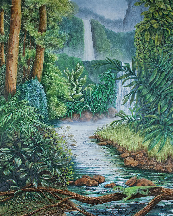Jungle Landscape Drawing Jungle landscape elements set vector