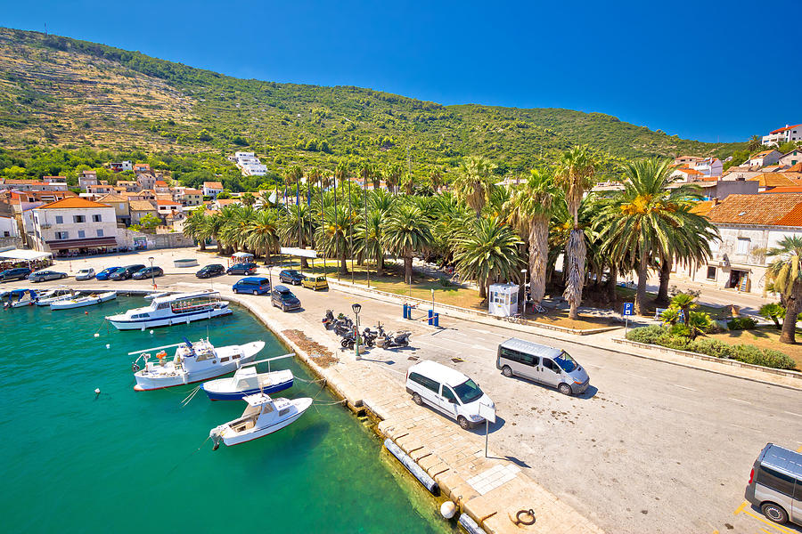 Emerald sea and palm waterfront of Vis Photograph by Brch Photography