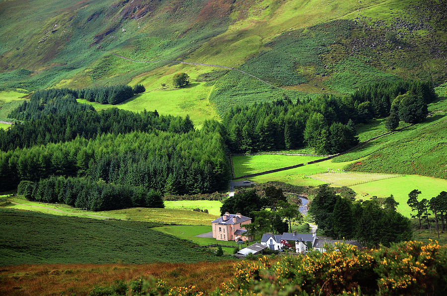 Nature Photograph - Emerald Valley. Wicklow. Ireland by Jenny Rainbow
