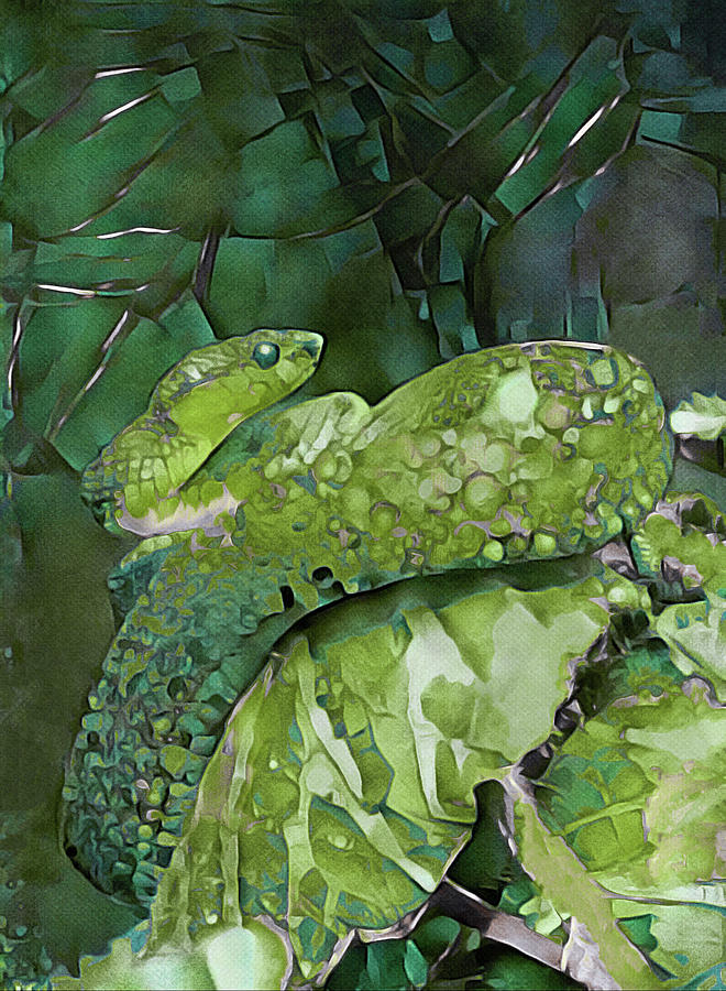 Emerald Viper Photograph by Susan Maxwell Schmidt