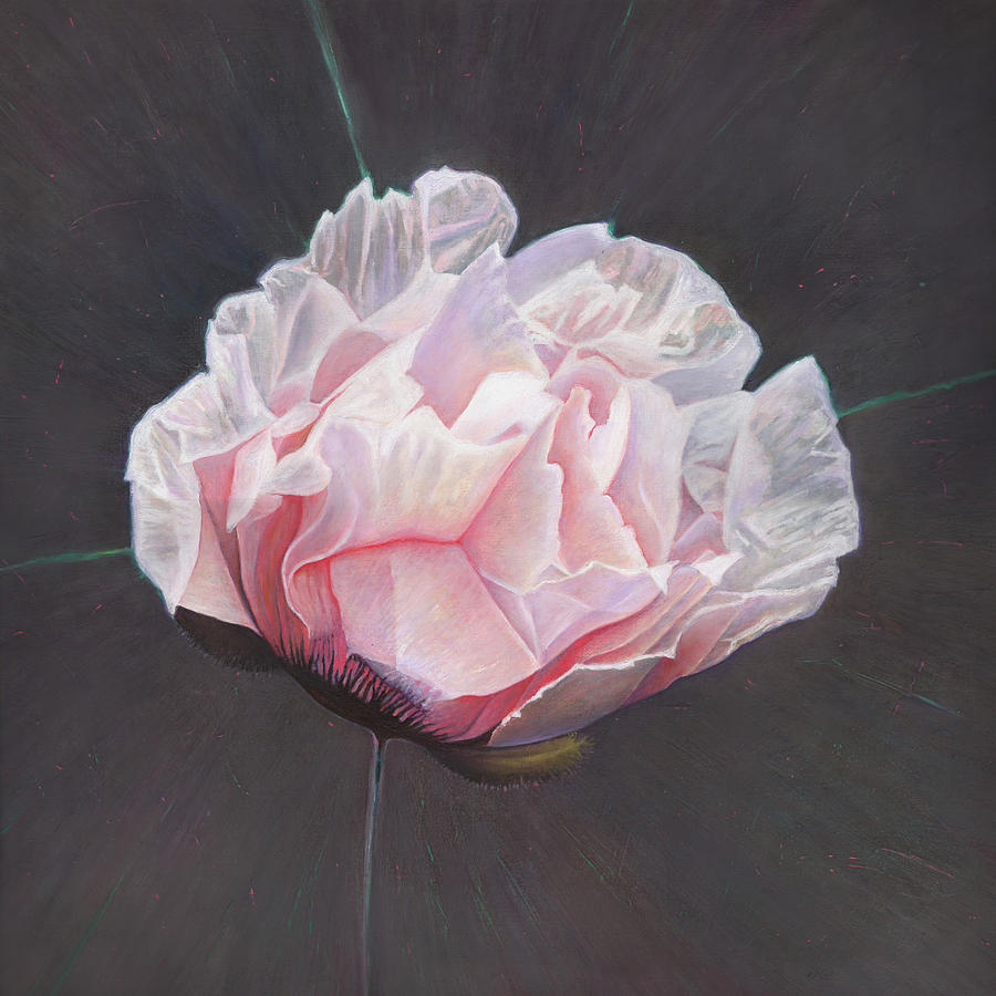 Poppy Painting - Emergence by Helen White Poppy Painting - Emergence by Helen White