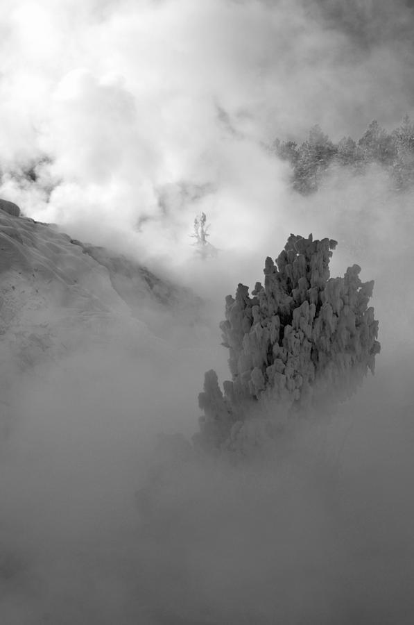 Emerging from Winters Fog in Yellowstone Photograph by Bruce Gourley