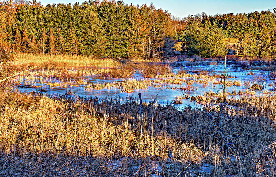 Emerging Marsh Photograph by Steve Harrington