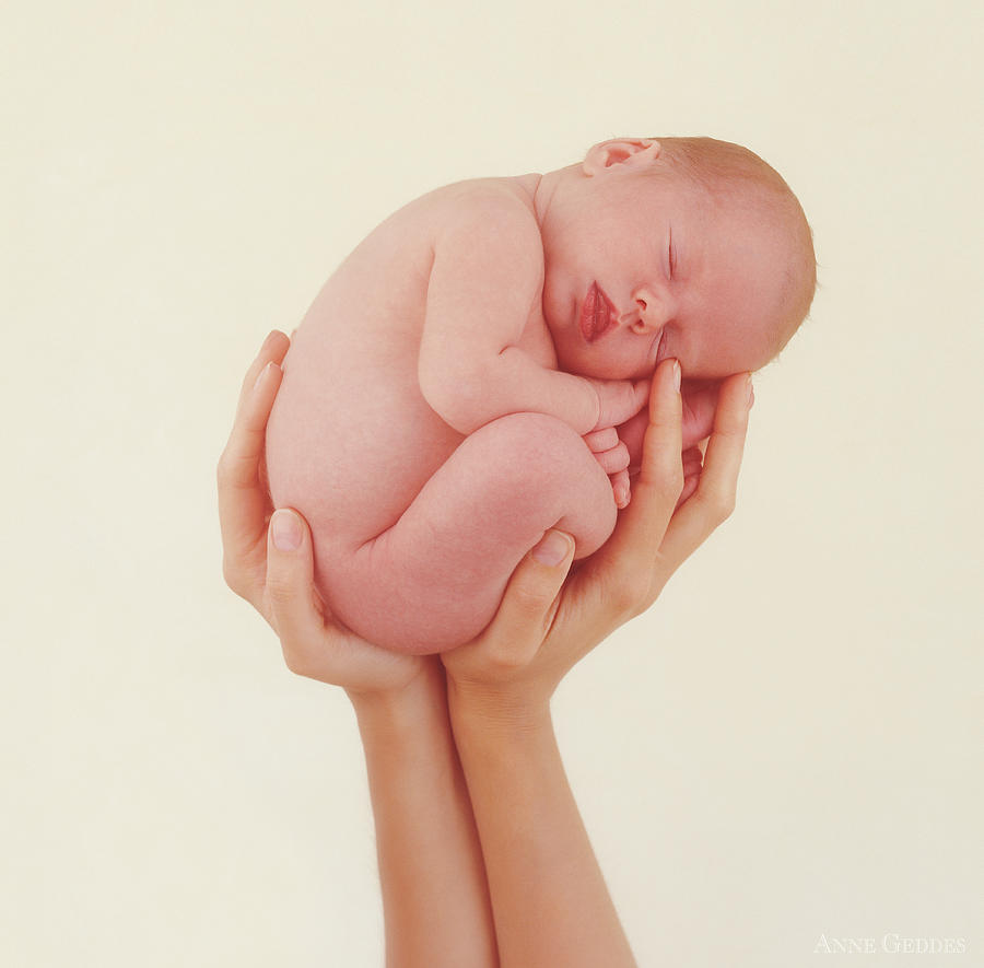 Baby Photograph - Emily Holding Laura by Anne Geddes
