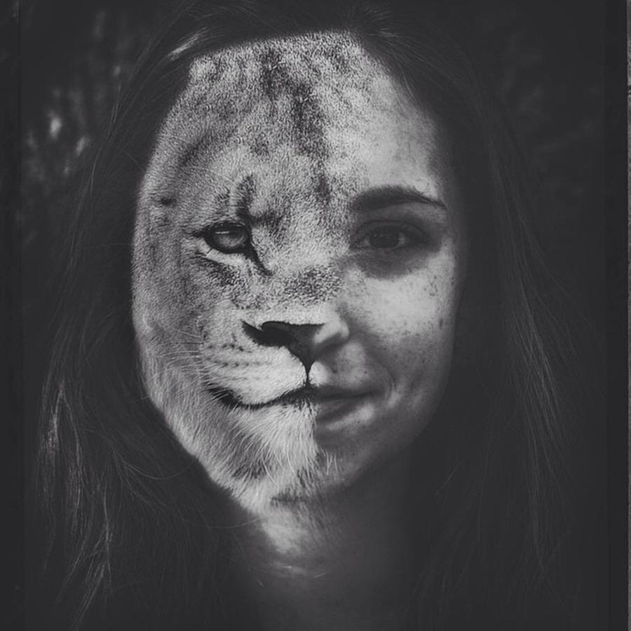 Indianapolis Photograph - #emilysmith #lioness #lion #art by David Haskett II