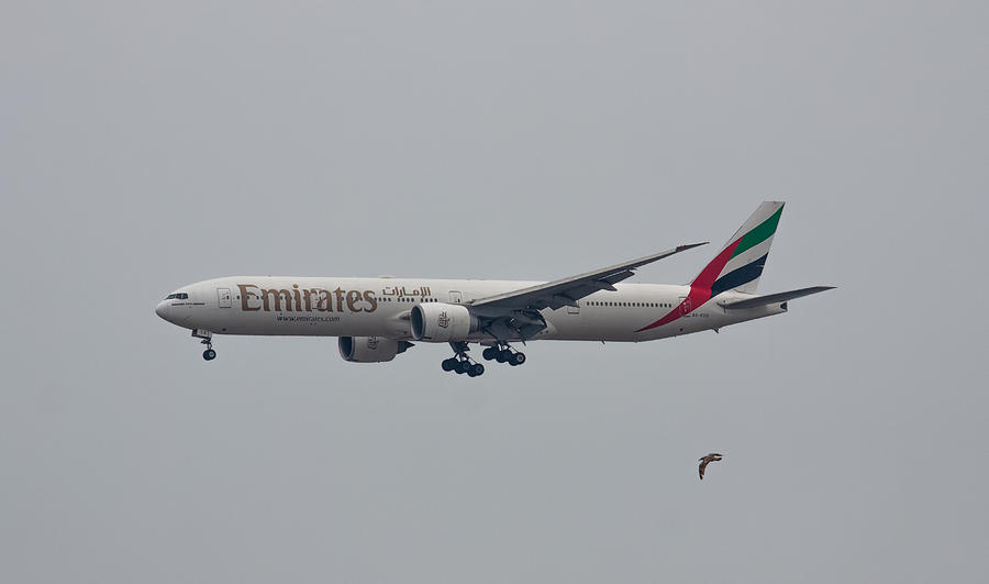 Emirates Airlines Photograph by Brian MacLean