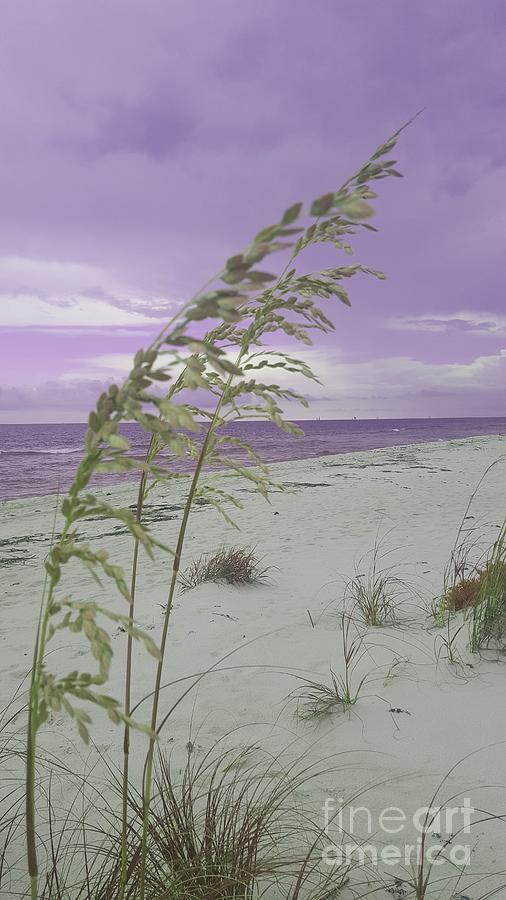 Emma Kates Purple Beach Photograph by Rachel Hannah