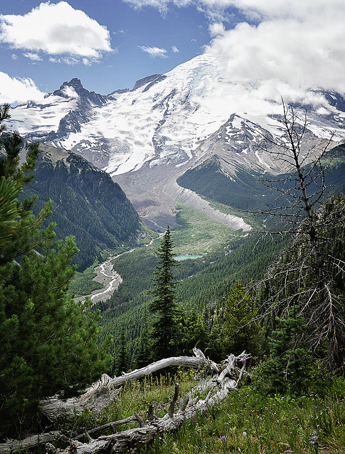 Emmons Glacier, Mount Rainier Photograph by Lynn Wohlers