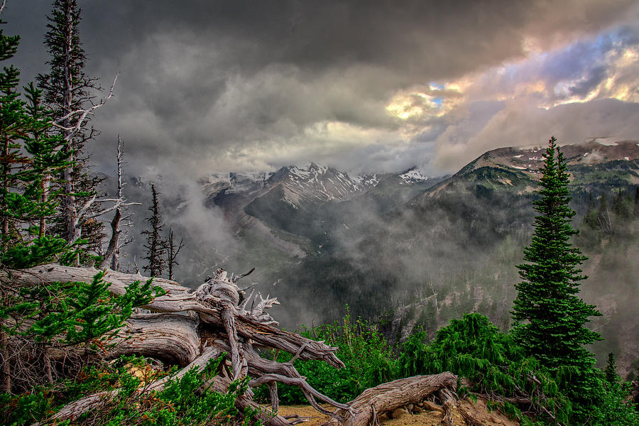 Mountain Photograph - Emmons Vista by Rick Berk