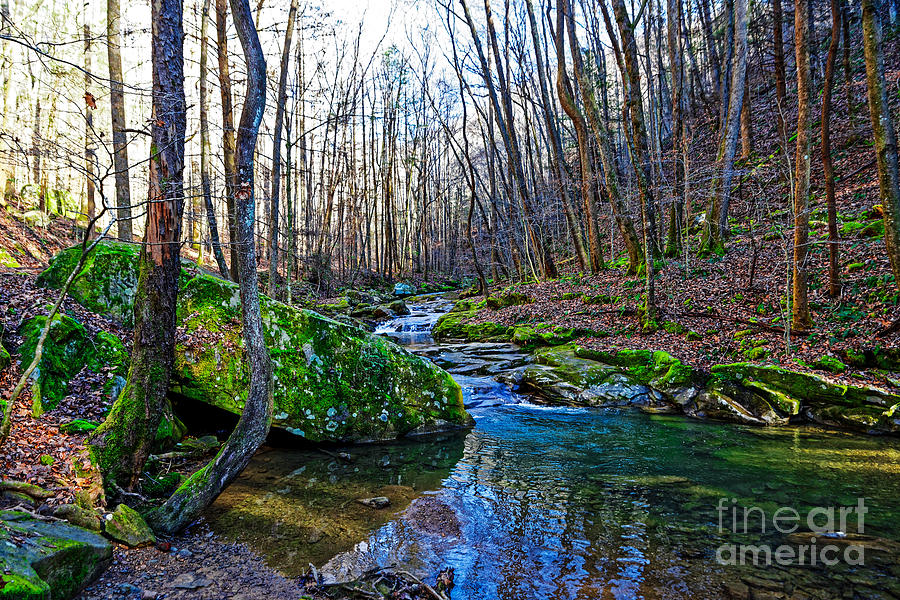 Frozen Head State Park Photograph - Emory Gap Branch by Paul Mashburn
